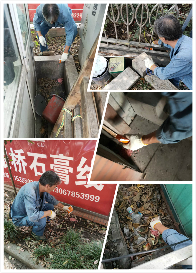 彩名堂市场开展冬季灭鼠