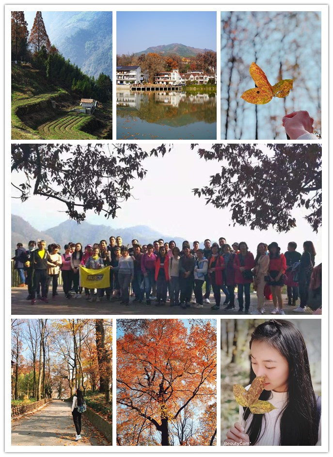 彩名堂电子交易市场组织“指南村赏秋”活动