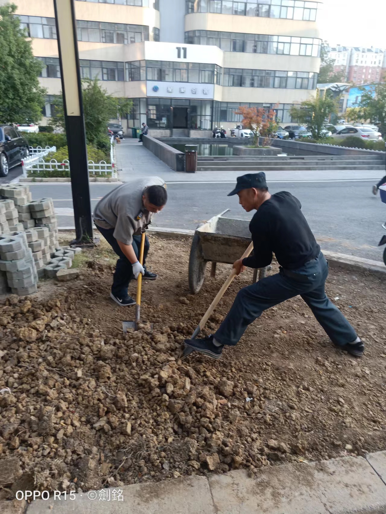 庐阳彩名堂文创园开展环境优化行动