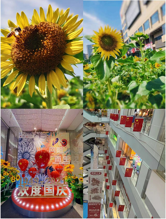 盛世华诞，，，，，水晶城喜迎国庆