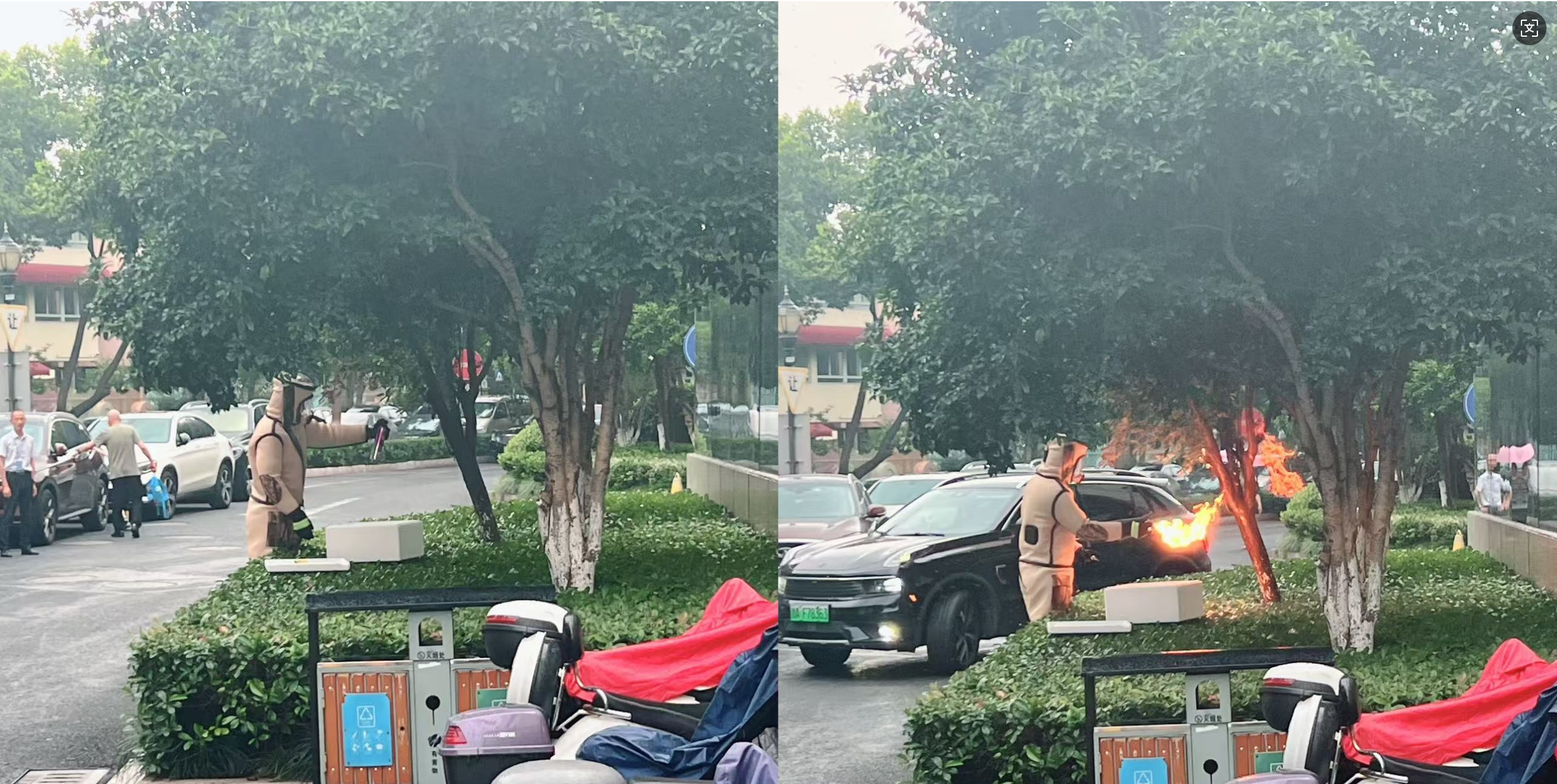 安全守护零距离，，，，，水晶城快速处置外围蜂群隐患